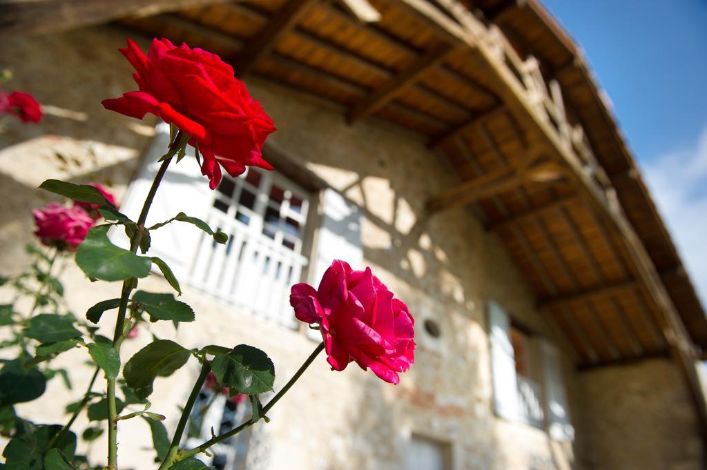 Le Poutic Gite Et Maison D'Hotes Creon-d'Armagnac Eksteriør billede